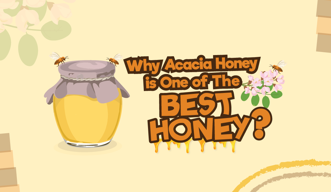 Why Acacia Honey is One of The Best Honey?
