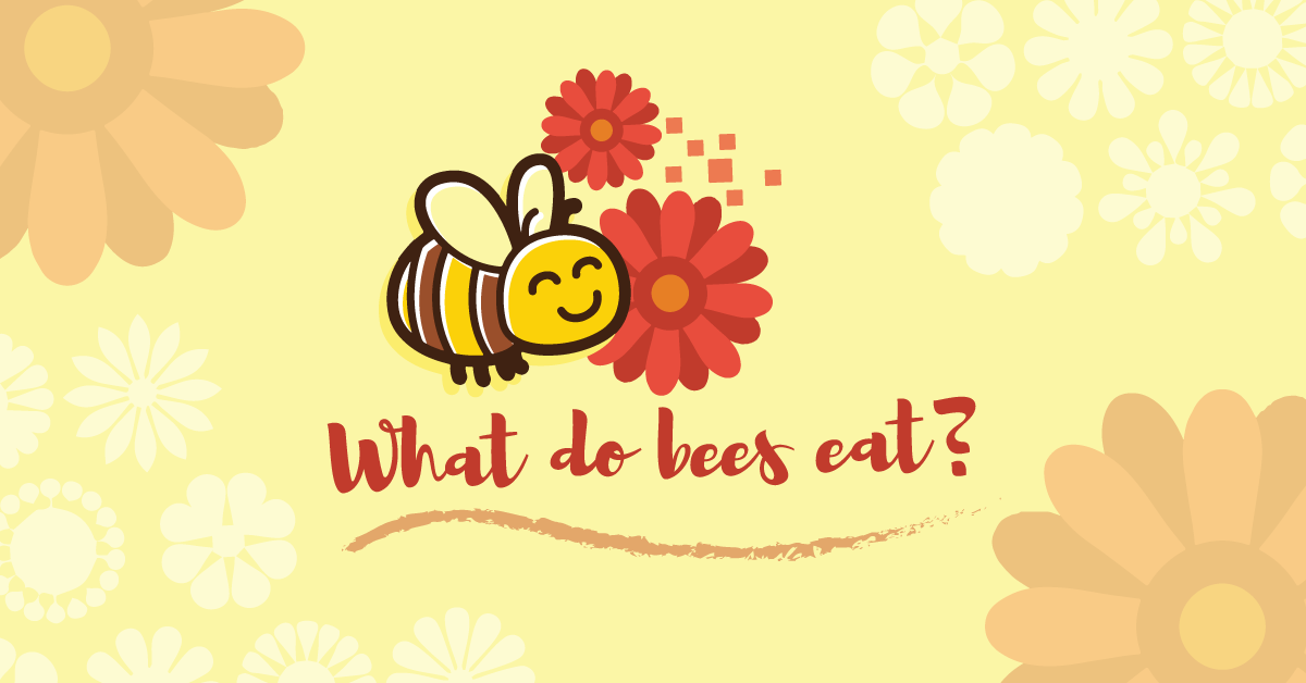 What do Bees Eat